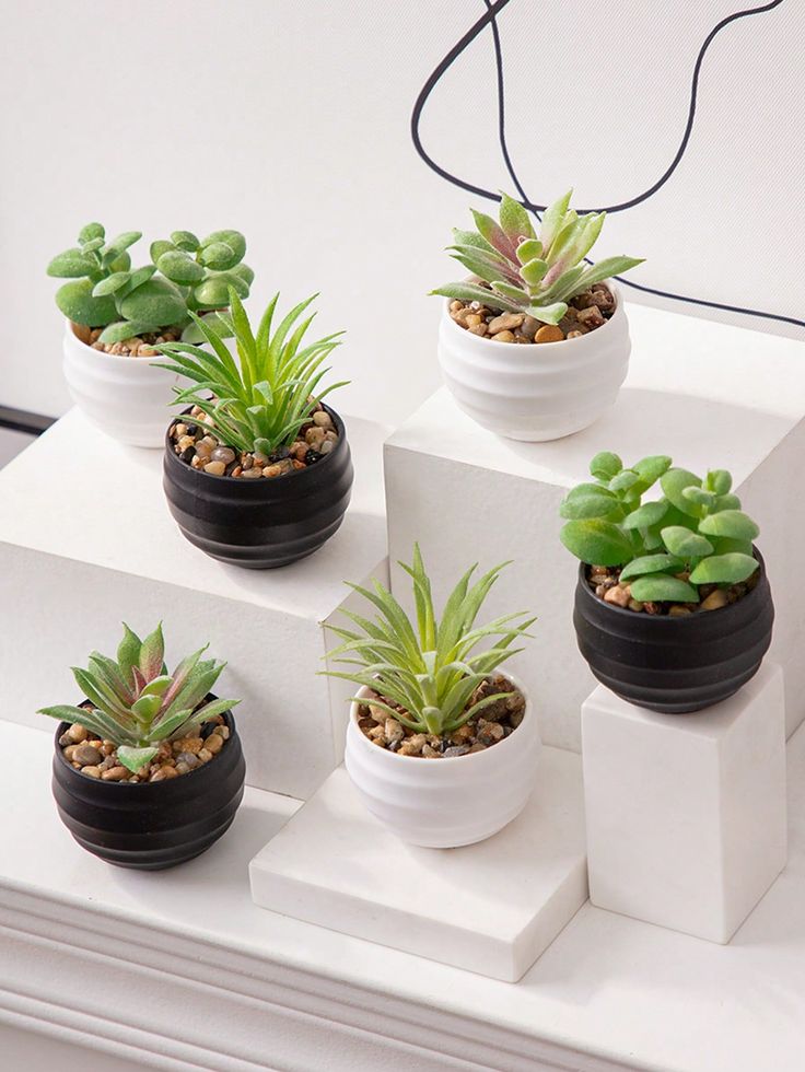 Mini Planter Set 3pcs
